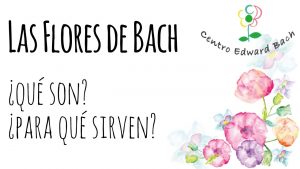 Flores de Bach, qué son y para qué sirven